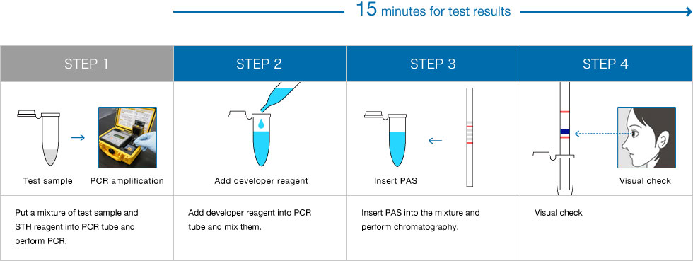 Testing protocol of the STH-PAS method