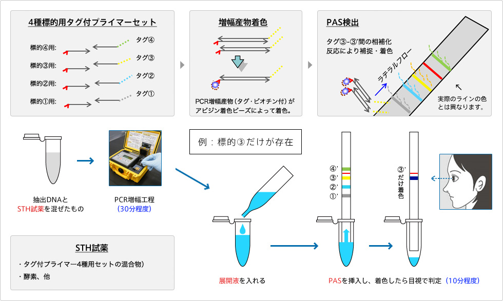 PT ハート サファイヤ リング 0.31CT 拡散処理未検査